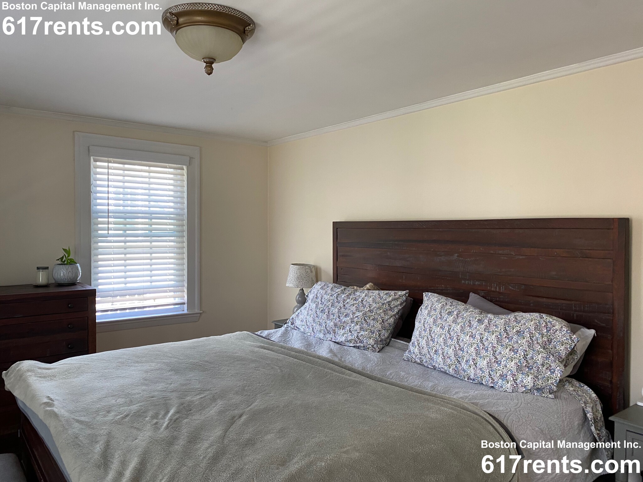 22 Cleveland Rd, Wellesley