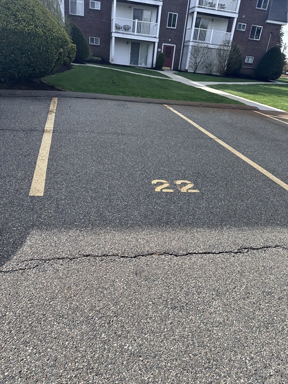 41 Will, Canton Junction