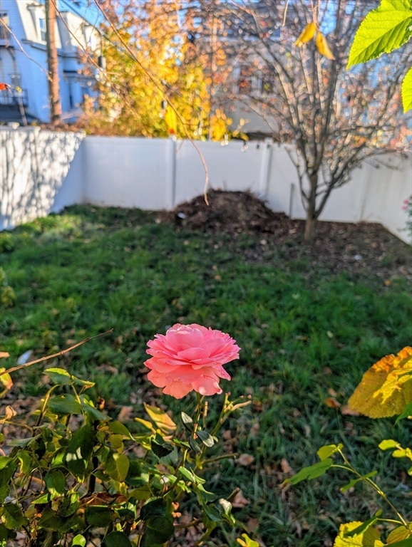 167 Lexington, East Boston