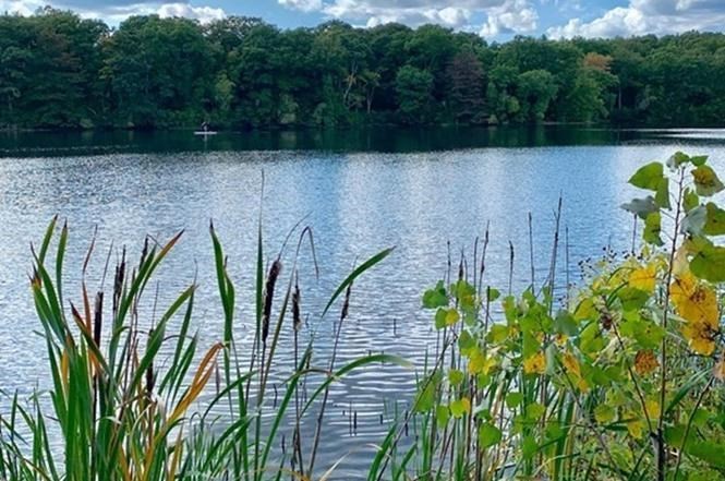 11 Elderberry Dr, North Easton