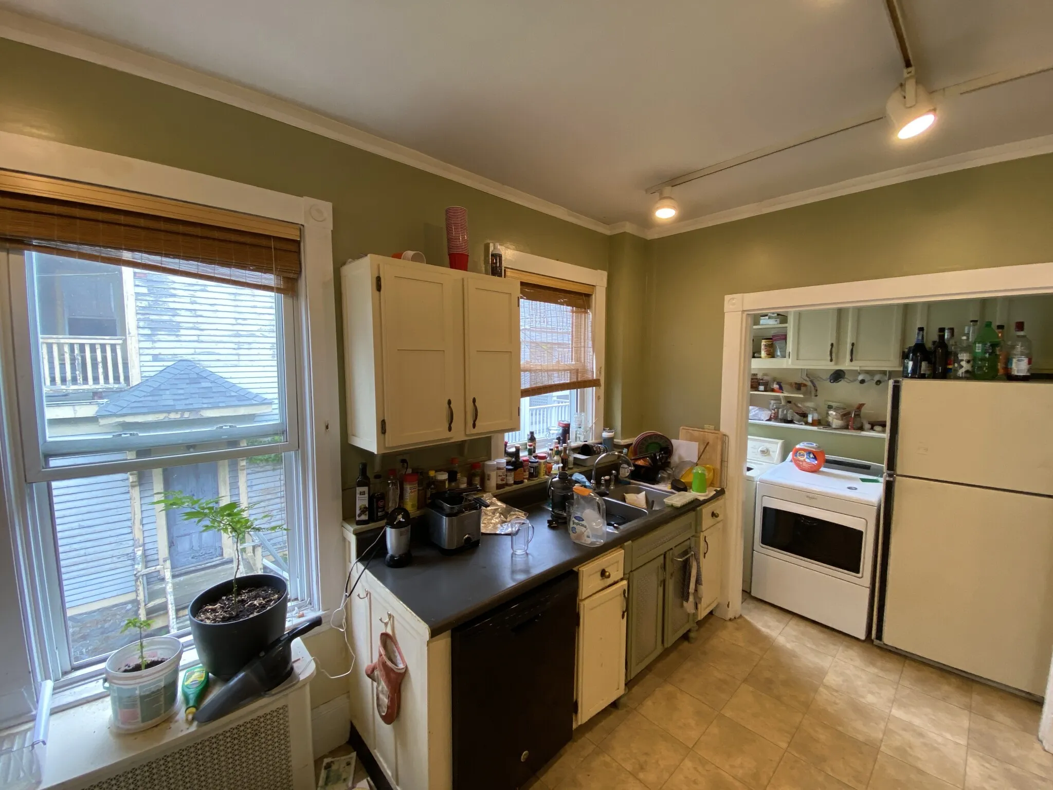 12 Oswald St, Mission Hill