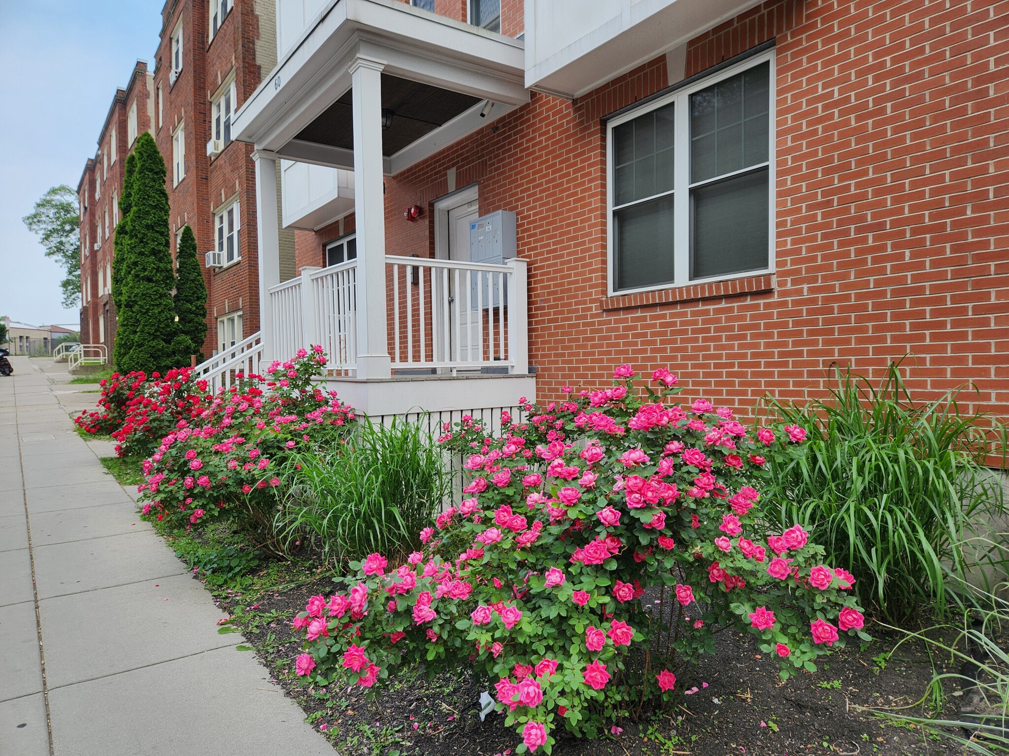 60 Holworthy St, Roxbury