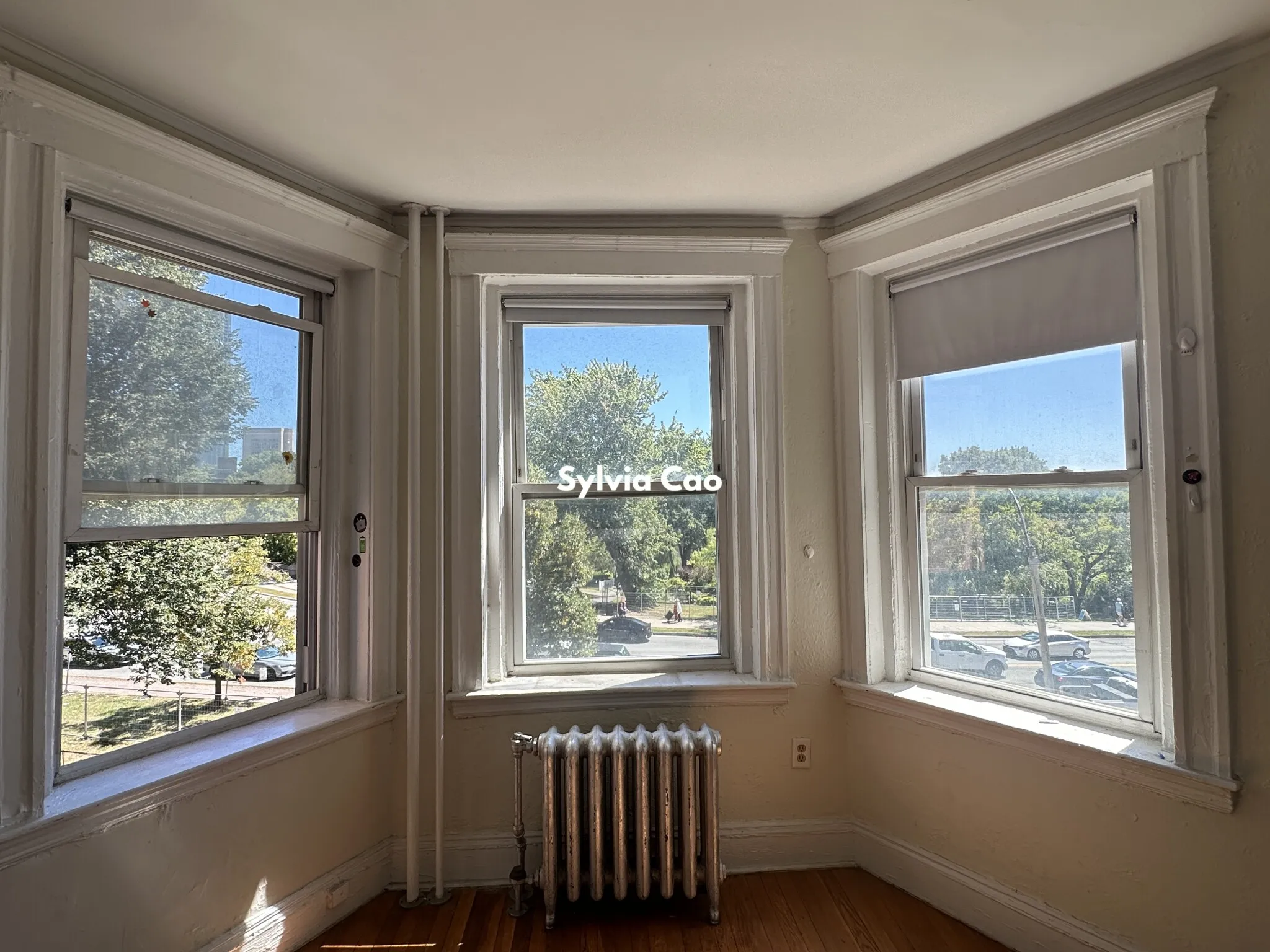 1167 Boylston St, Fenway