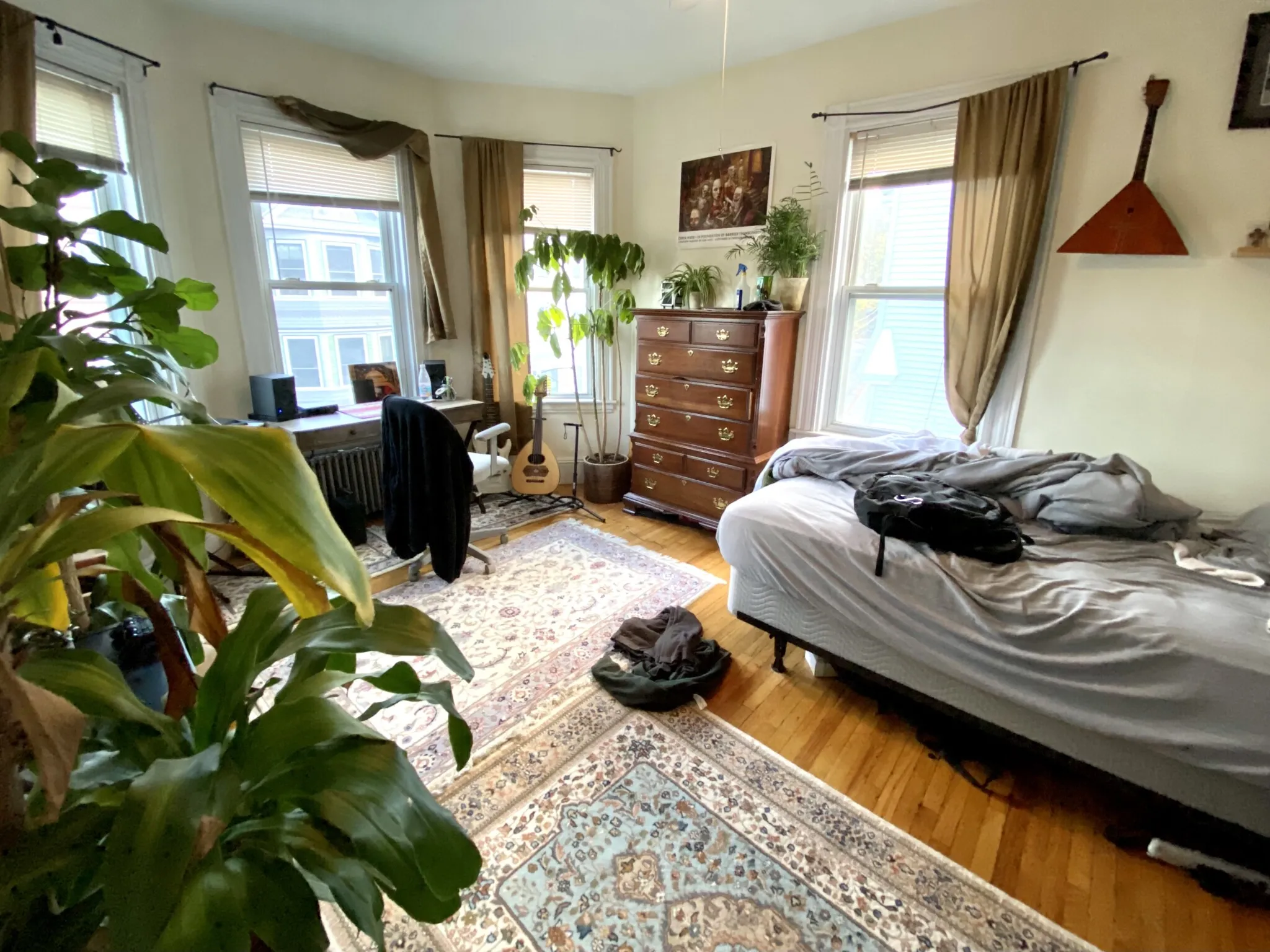 3 Oswald St, Mission Hill