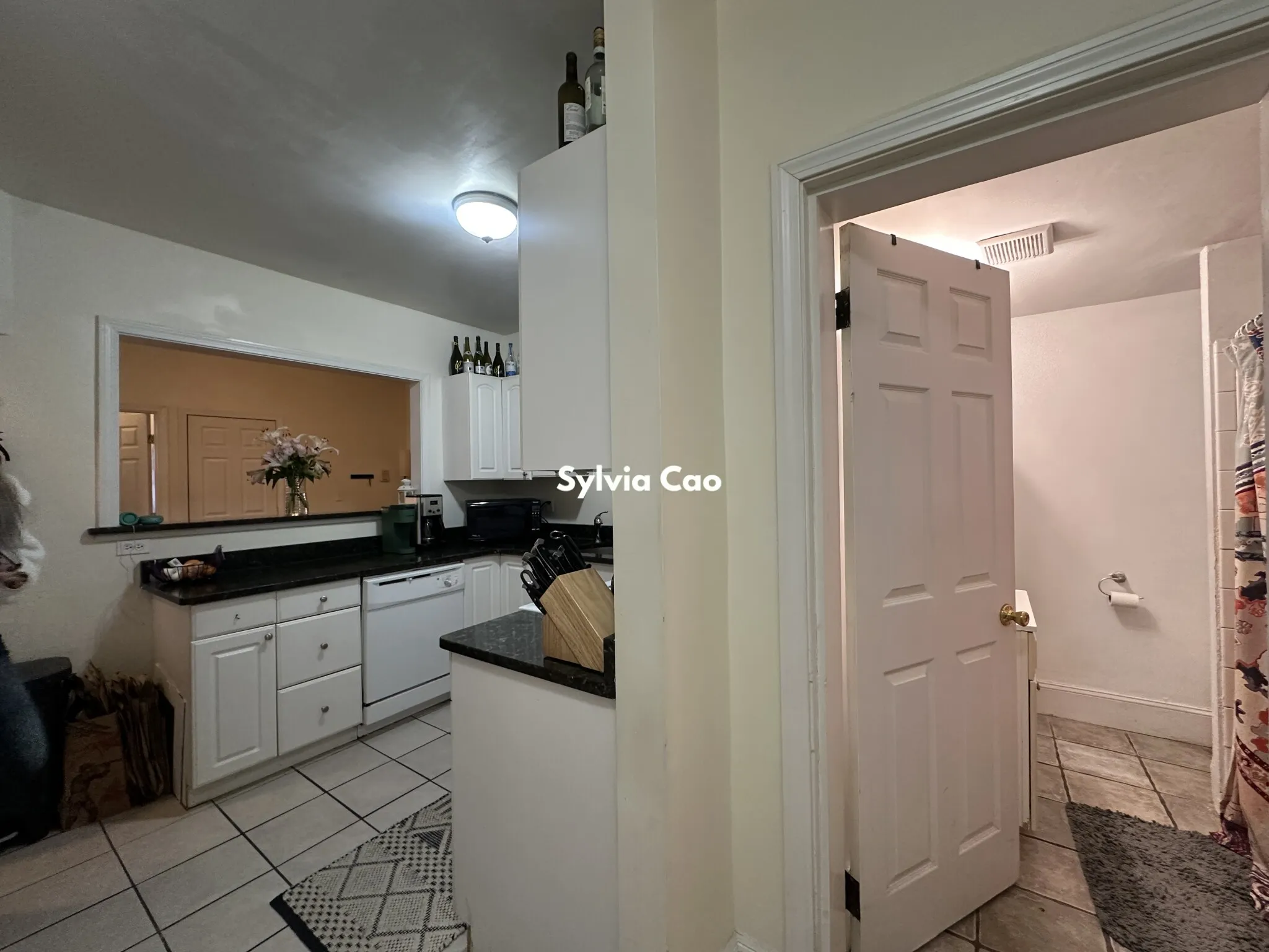 54 Egmont St, North Brookline