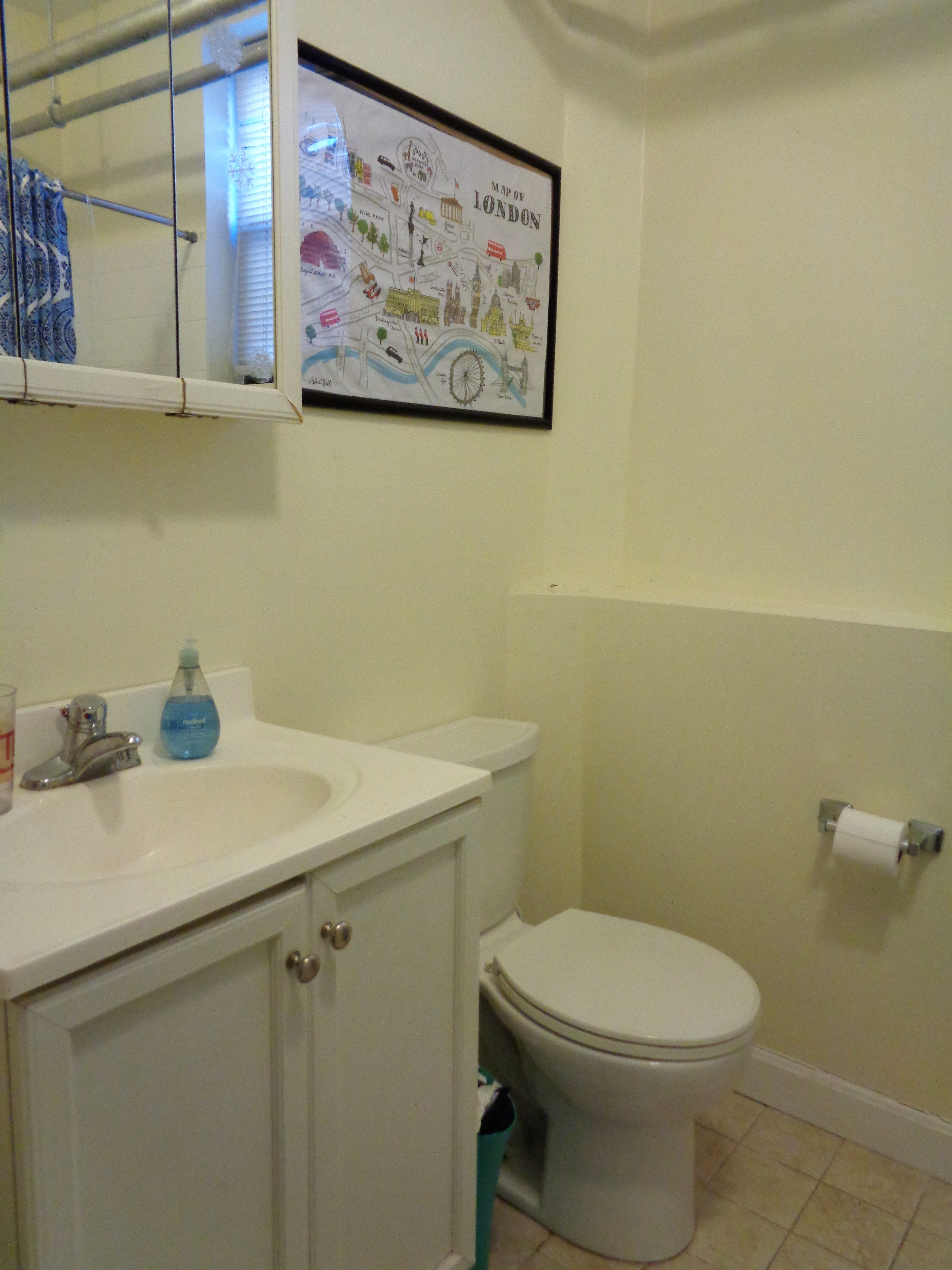 46 Carlton St, Longwood