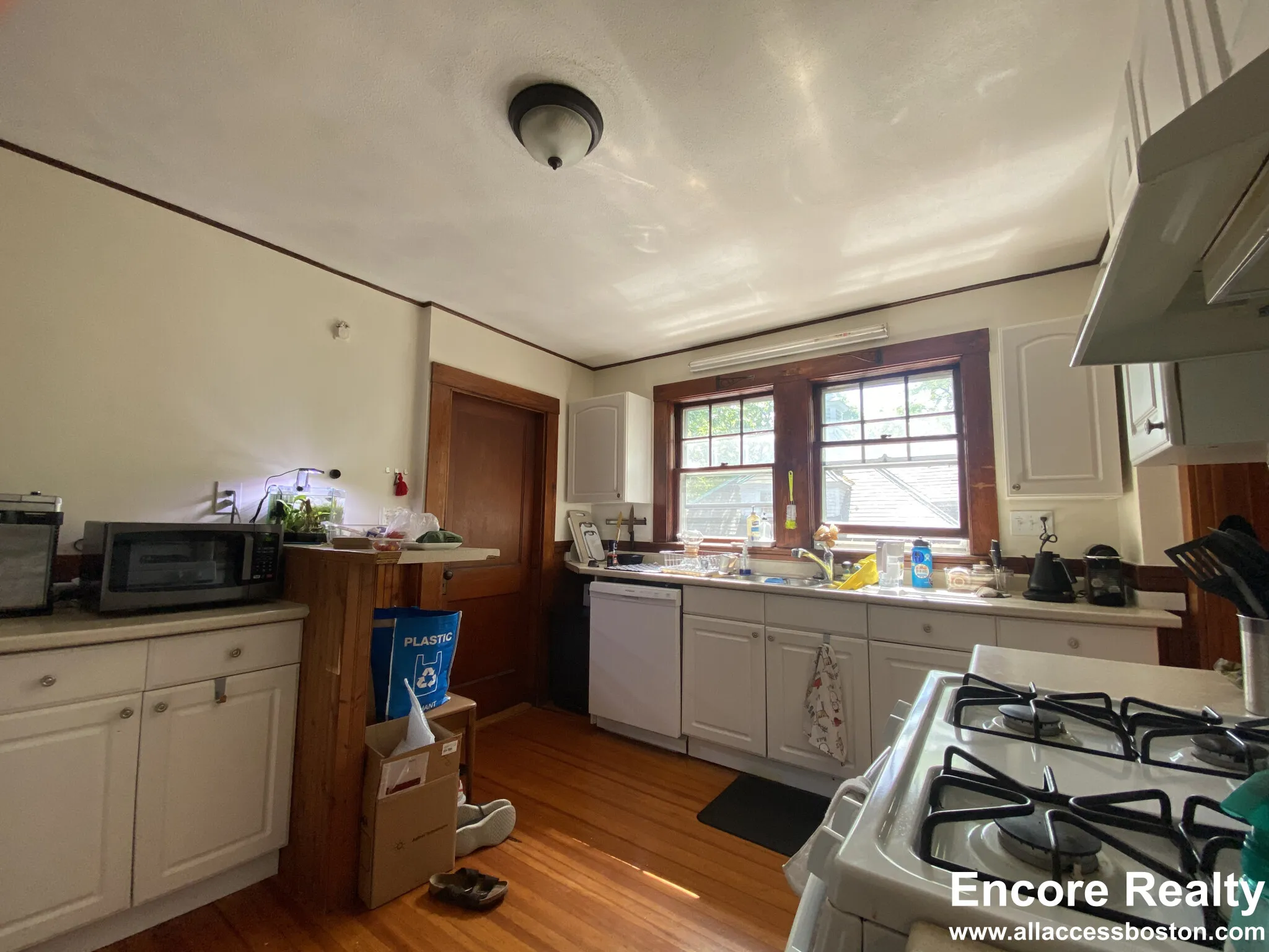 8 Worthington St, West Cambridge