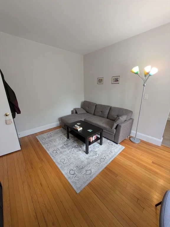 370 Chestnut Hill Ave, Brighton