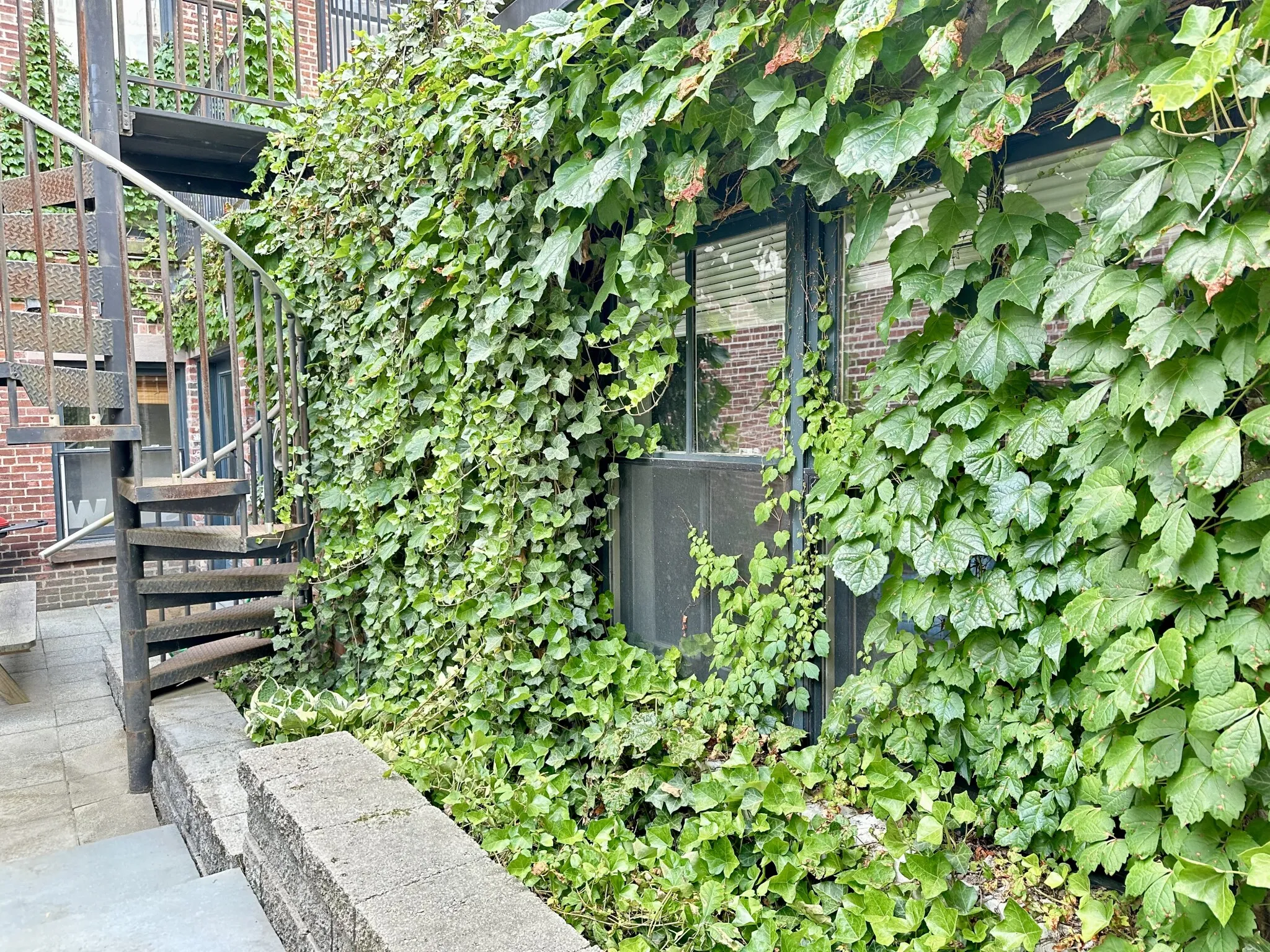 658 Massachusetts Ave, South End