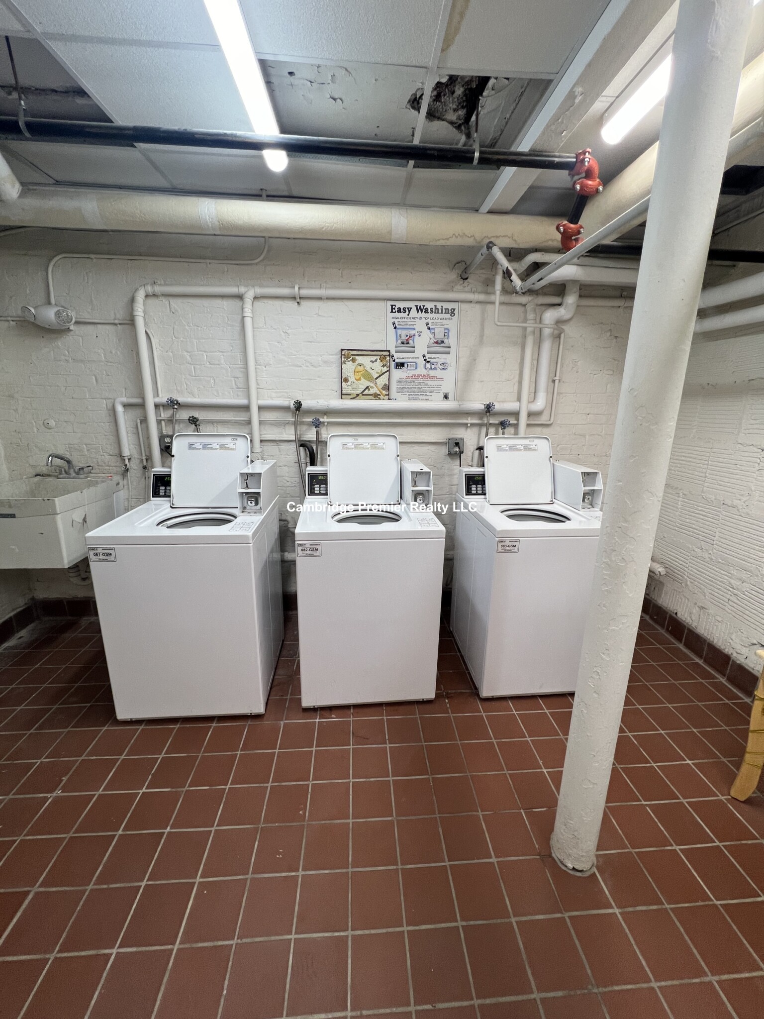 3 Linnaean St, Neighborhood Nine