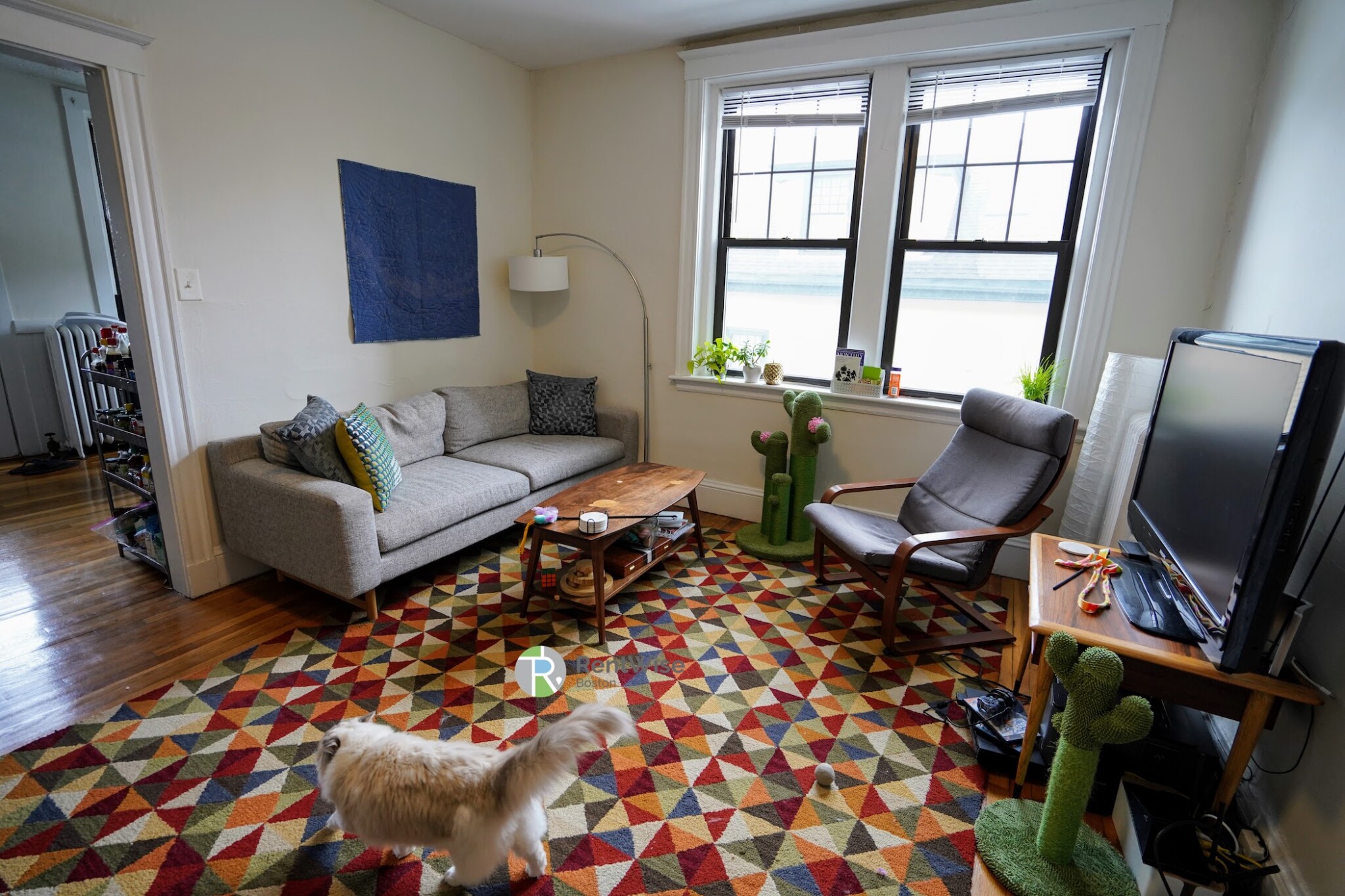 294 Harvard St, Mid-Cambridge