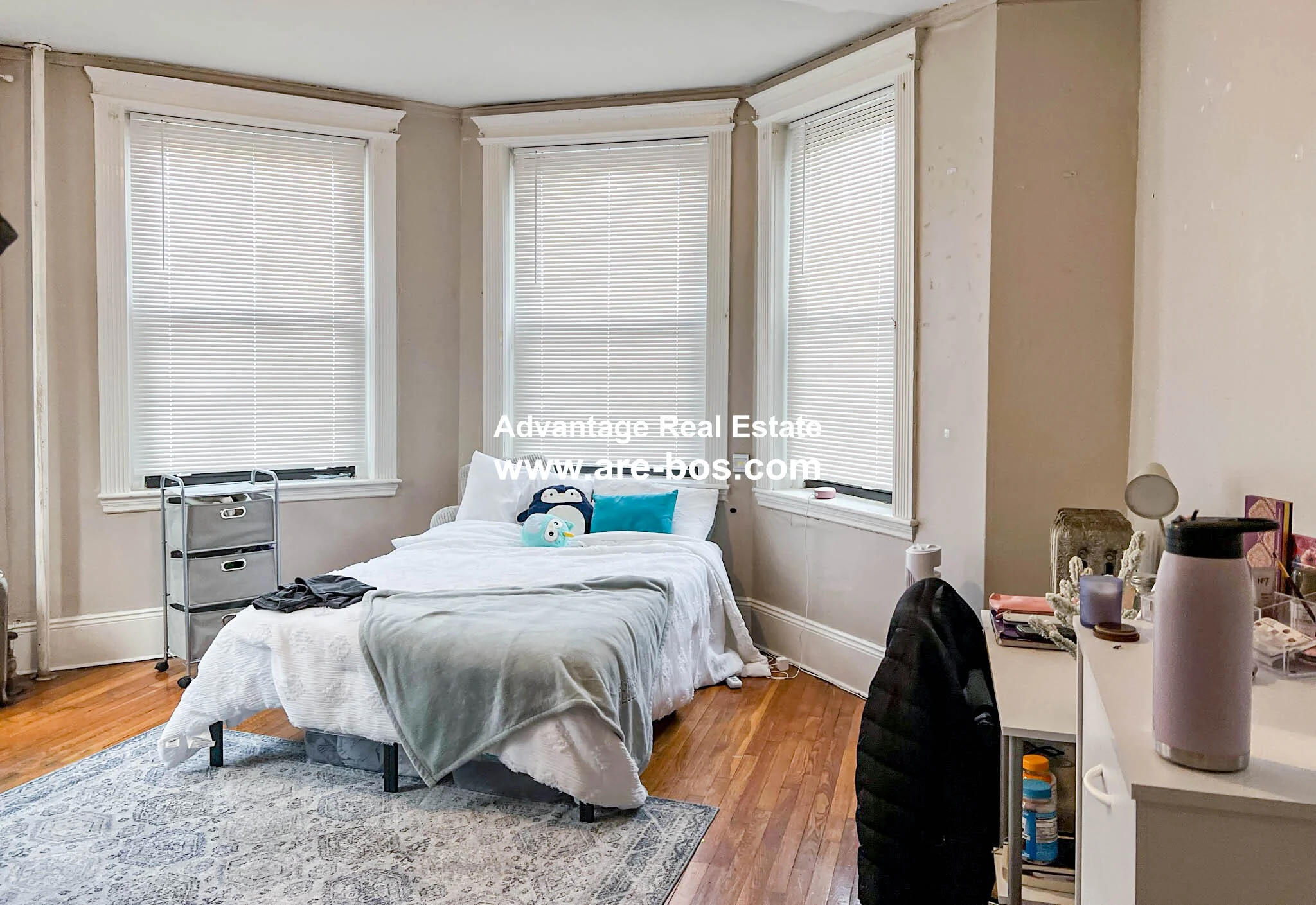 1066 Commonwealth Ave, Brighton