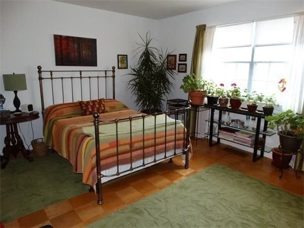 1203 Windsor, Framingham