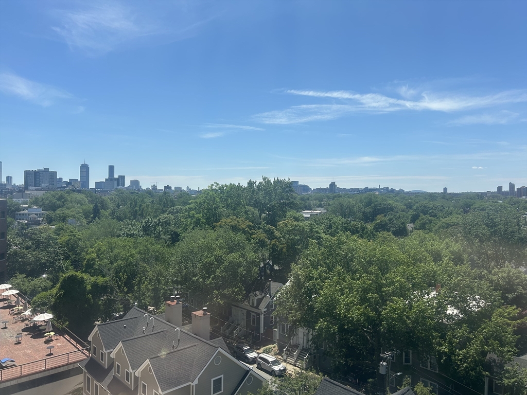 1010 Massachusetts Ave, Harvard Square