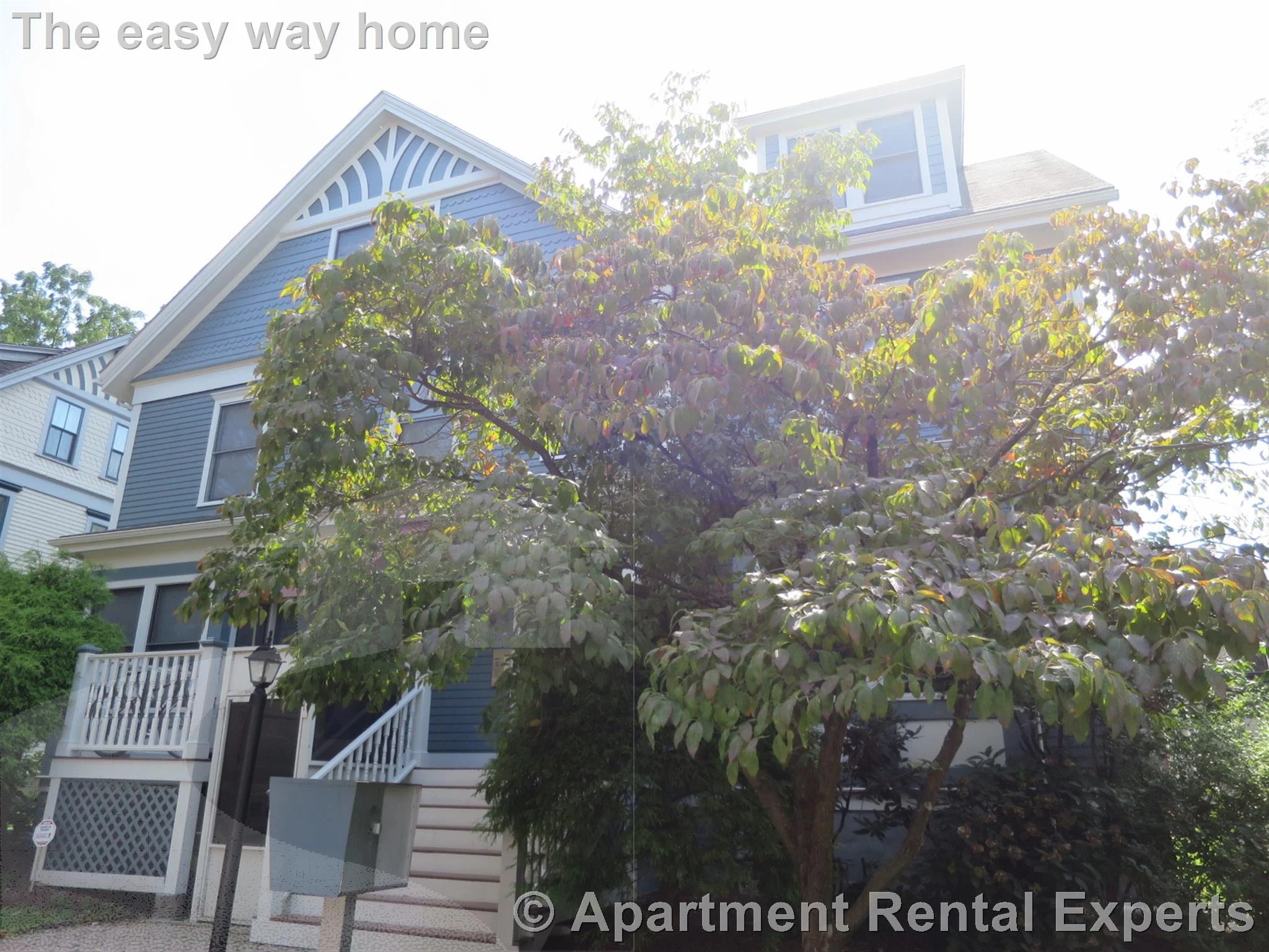 364 Harvard St, Harvard Square