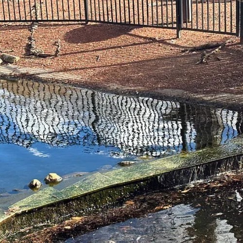 200 Swanton St, Winchester