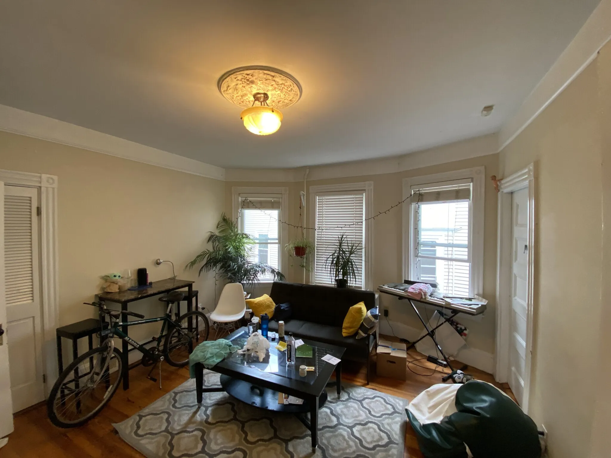 12 Oswald St, Mission Hill