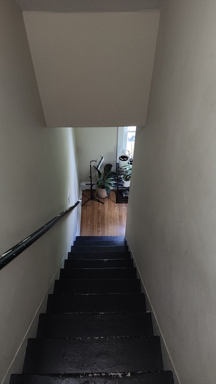 29 Bicknell St, Marlborough