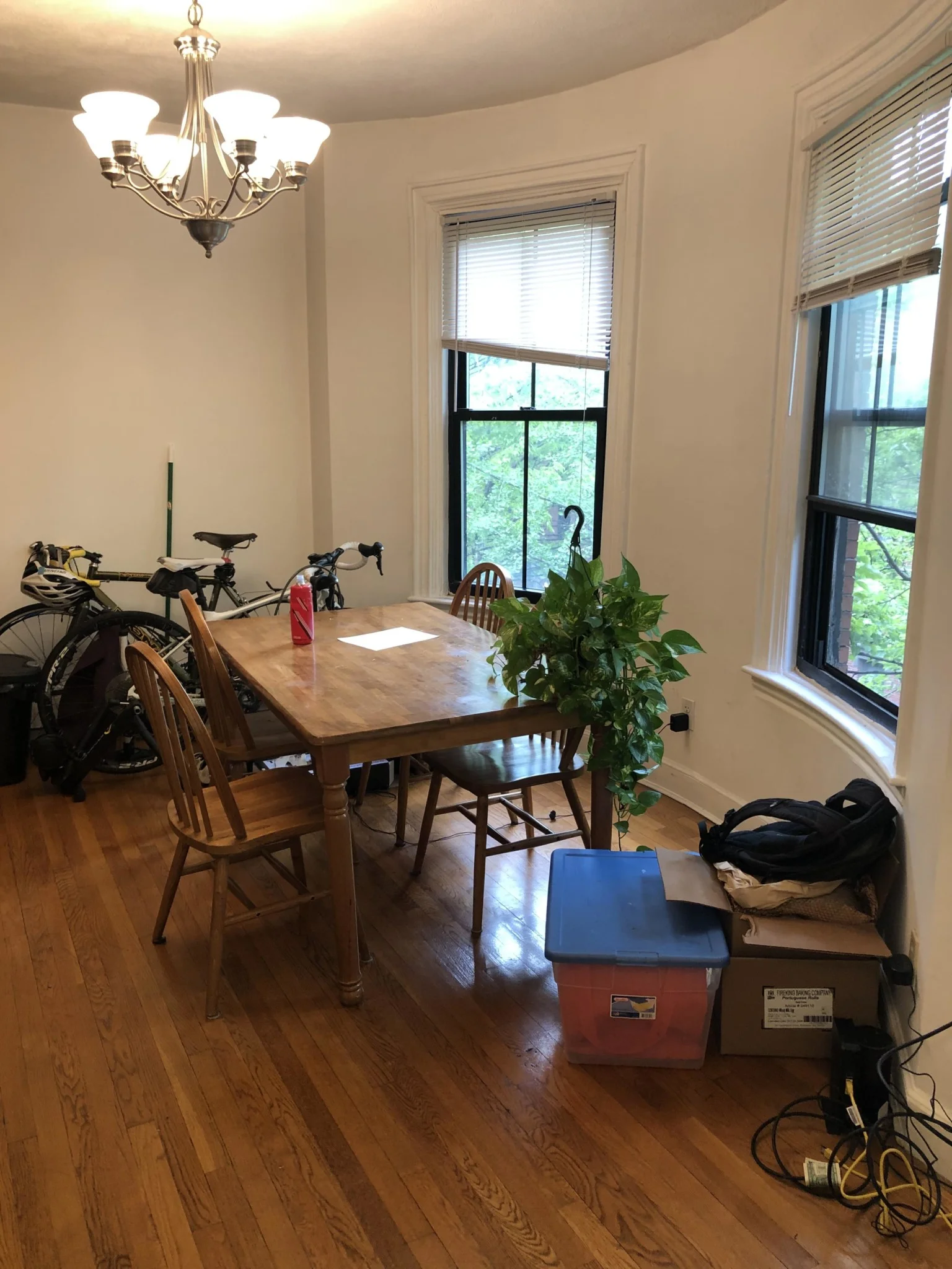 41 East Springfield, South End