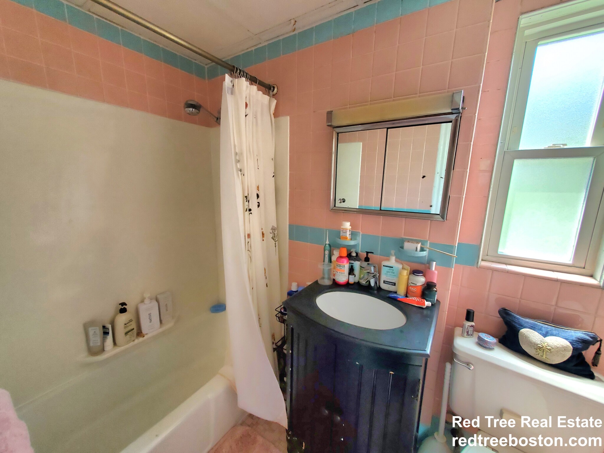 234 Cypress St, Brookline