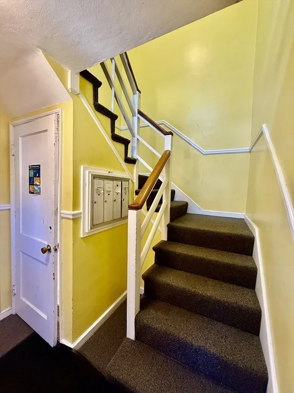 42 Newman Rd, Malden