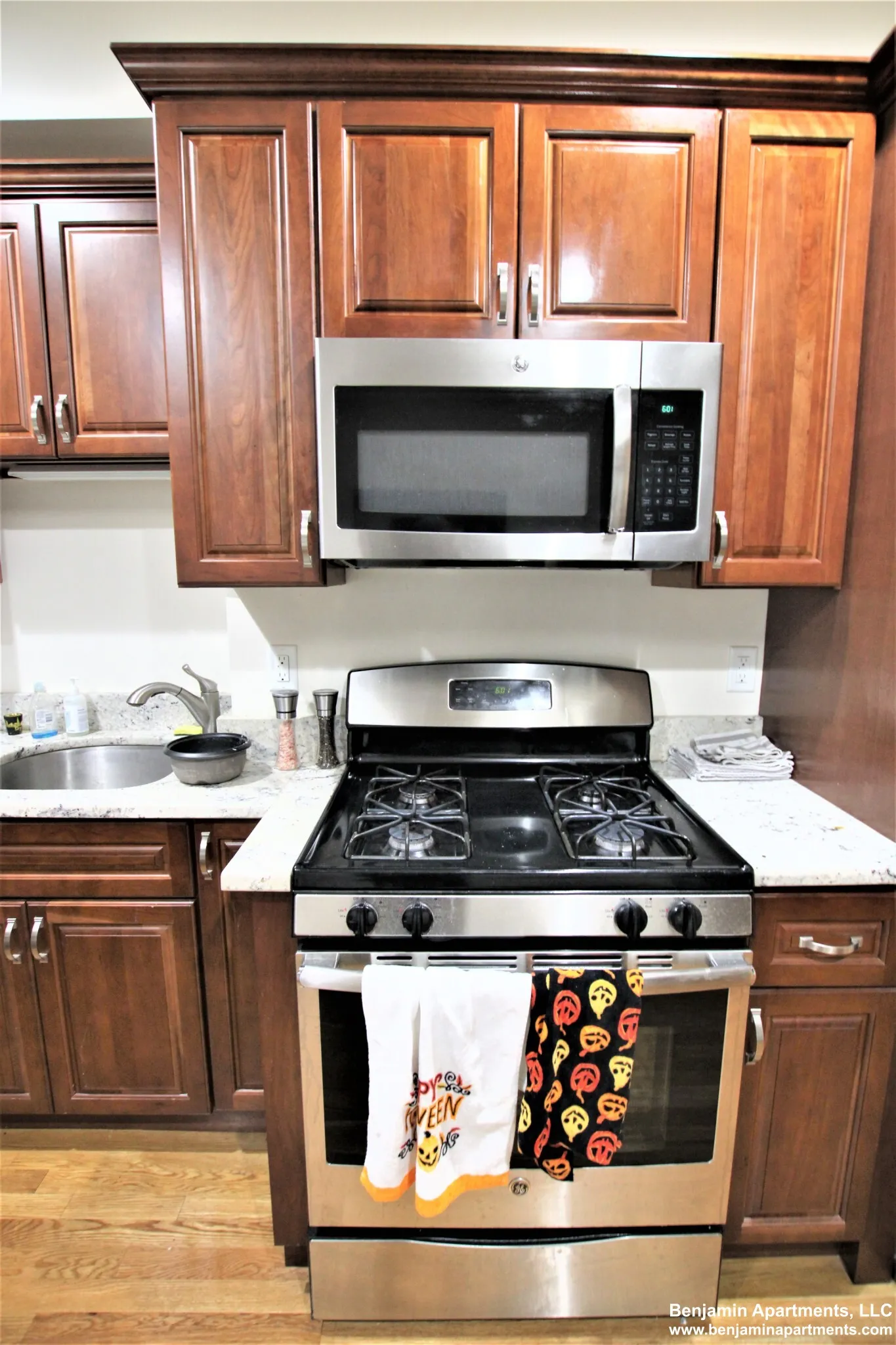 1029 Tremont St, Roxbury