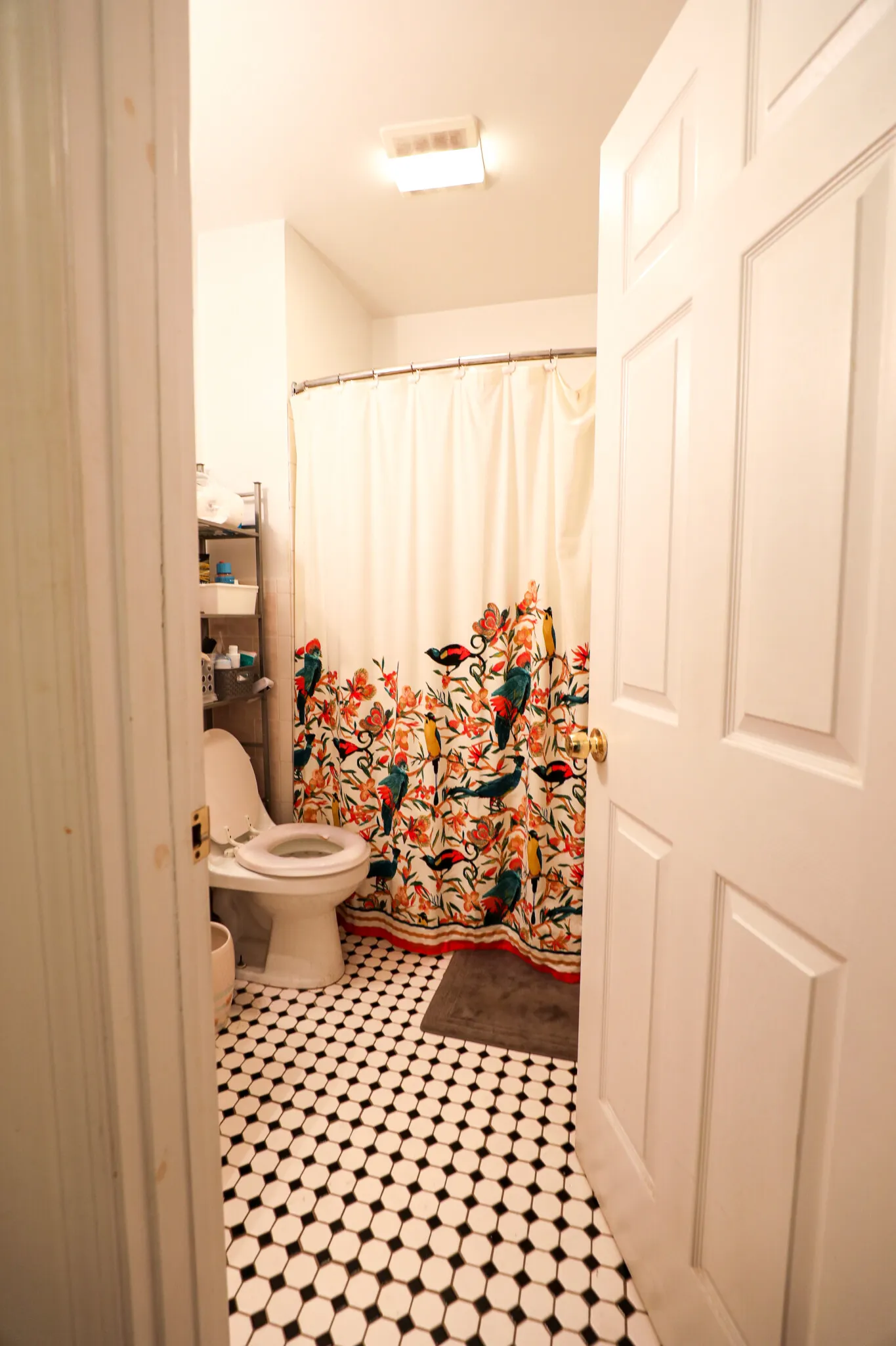 62 Egmont St, North Brookline