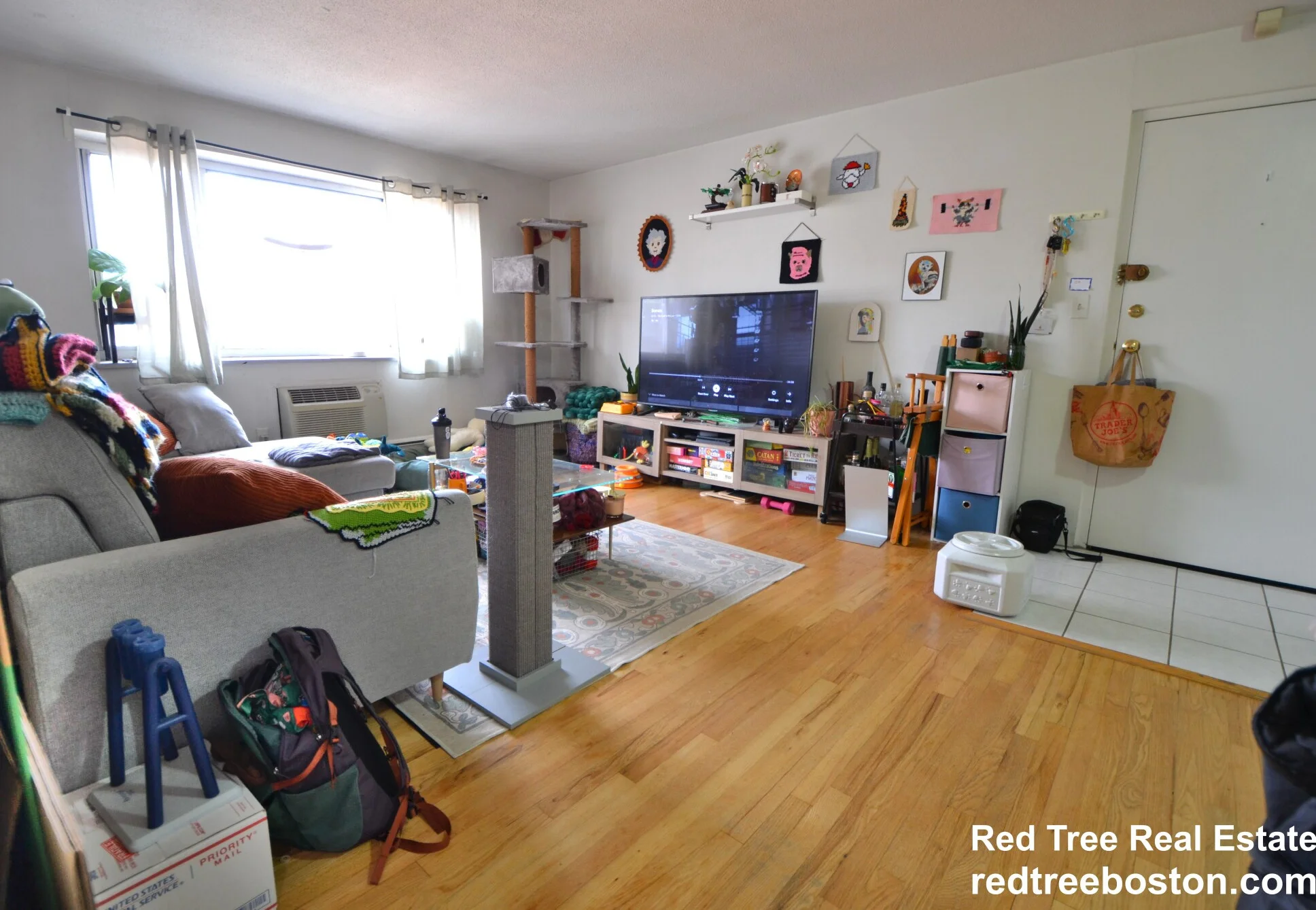 290 Corey Rd, Brighton