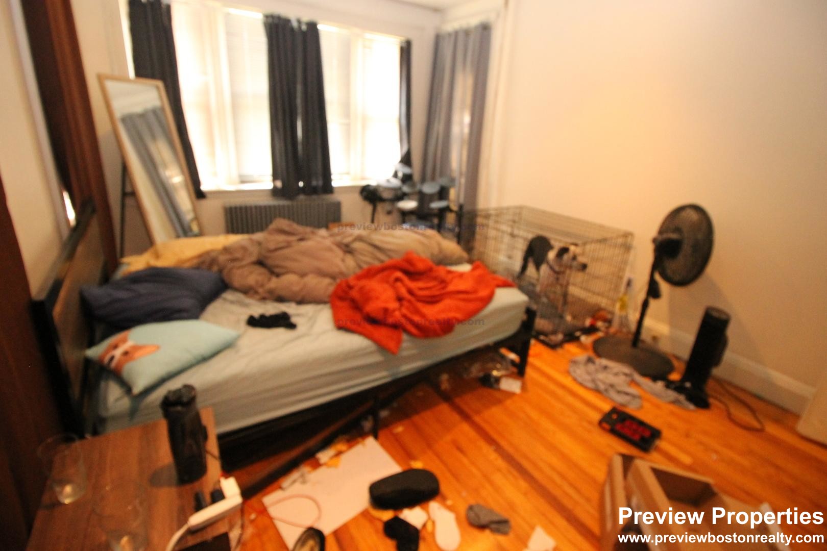 240 Kelton, Brighton