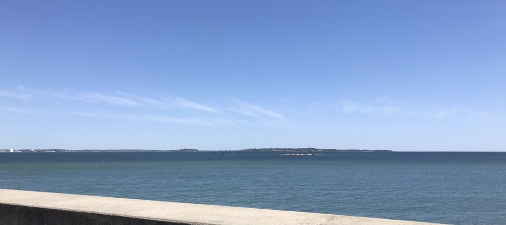 8 Pebble Ave, Revere