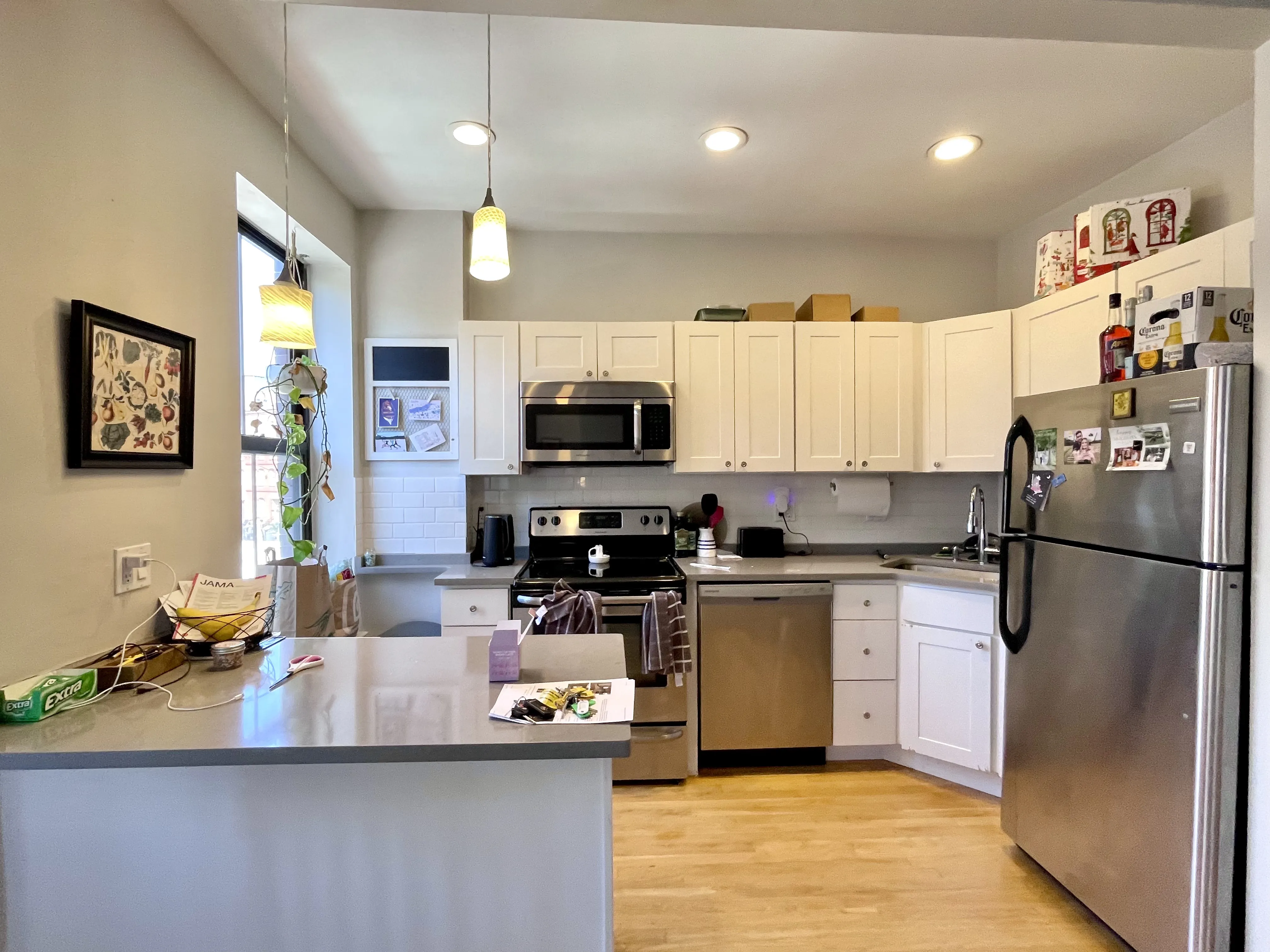 33 Hanson St, South End