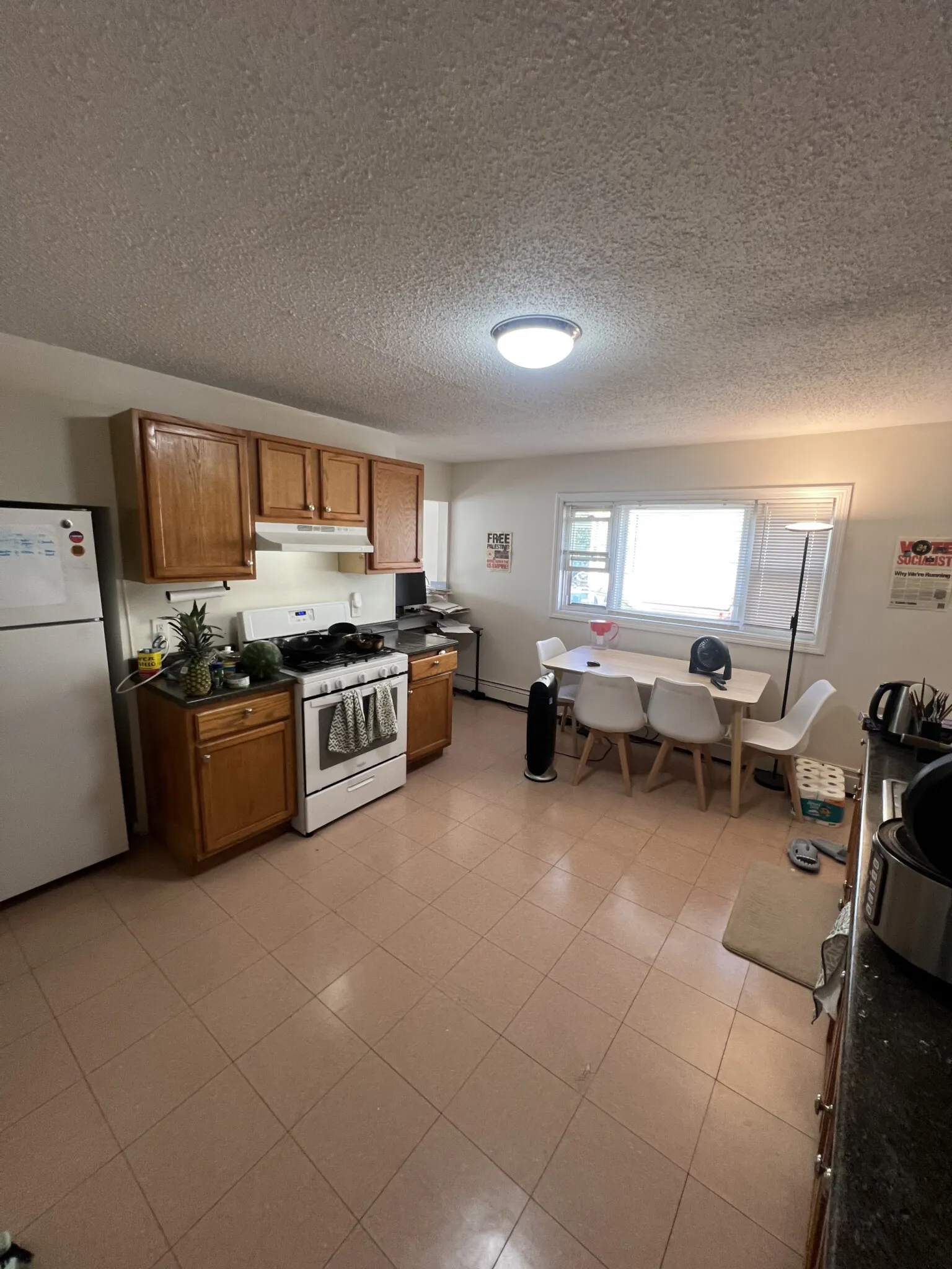 294 Prospect St, Wellington-Harrington