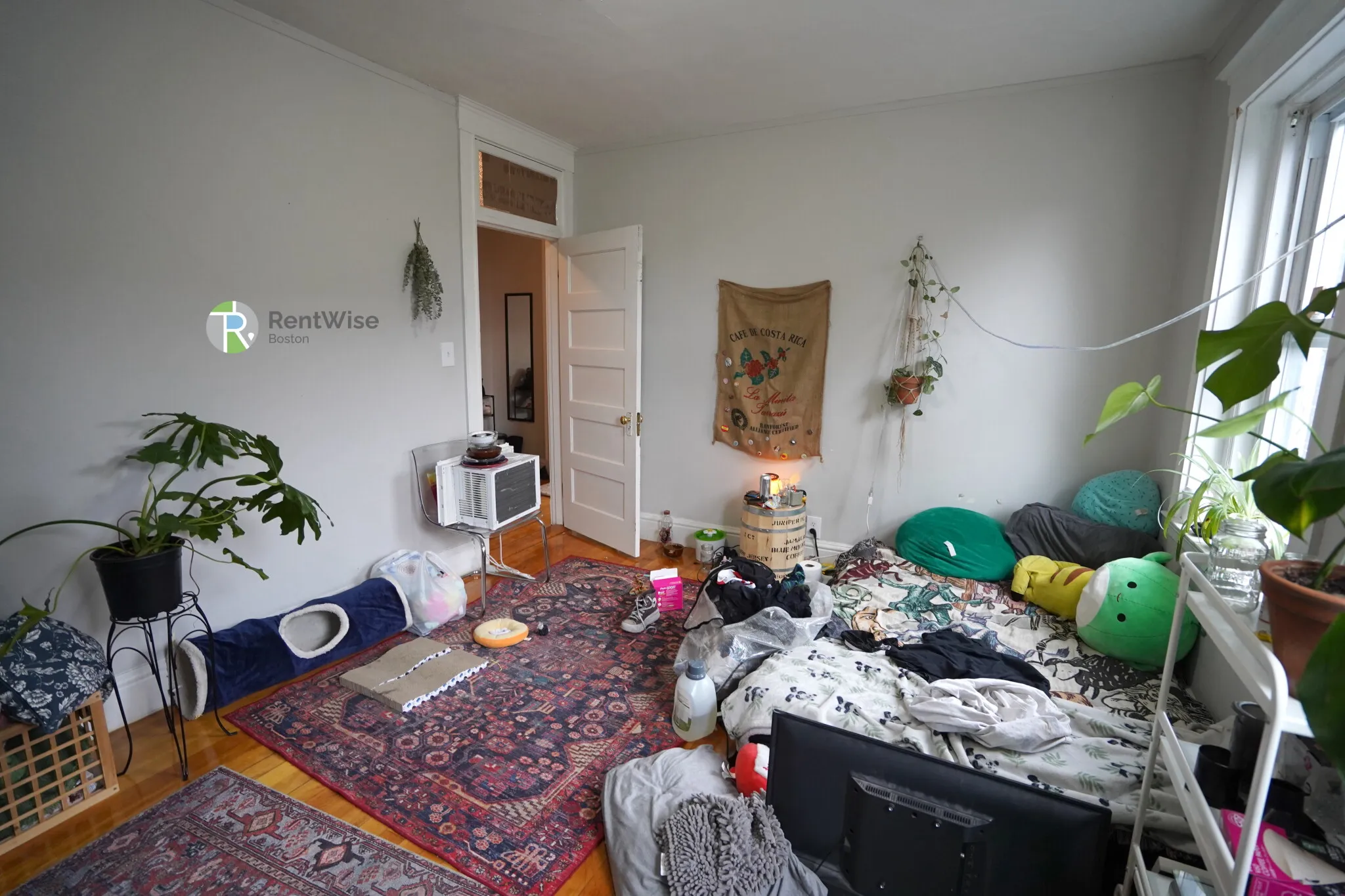 218 South St, Jamaica Plain