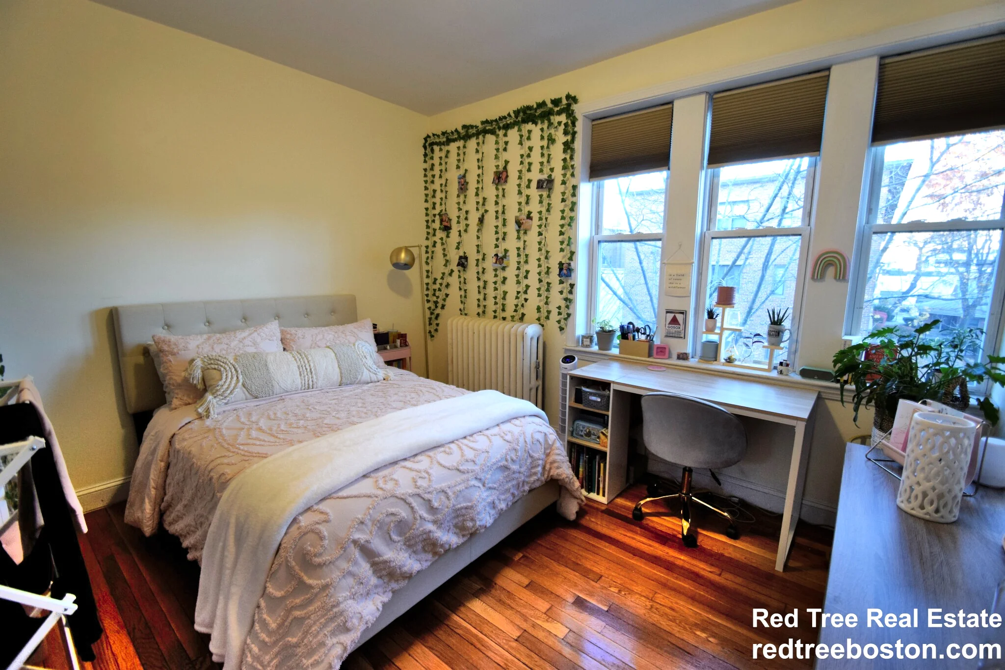 62 Egmont St, North Brookline