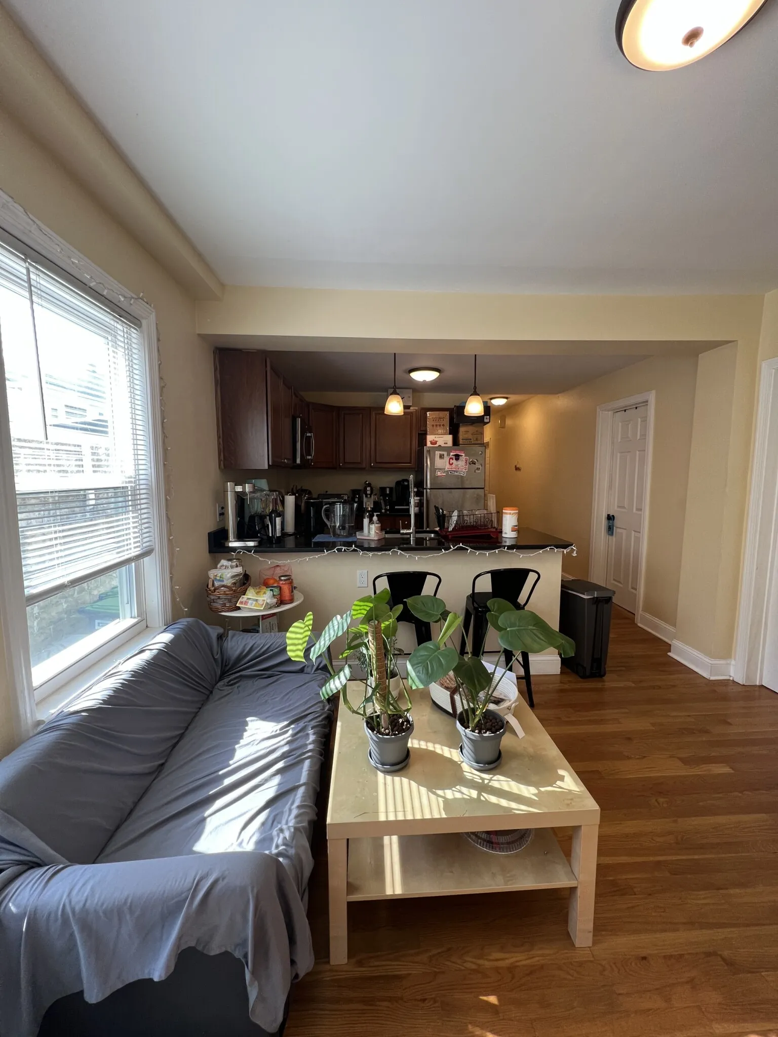 16 Silvey Pl, Spring Hill