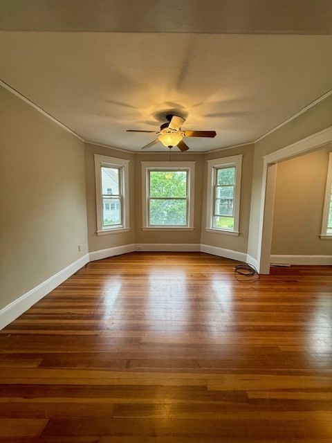 19 Summer, Wakefield