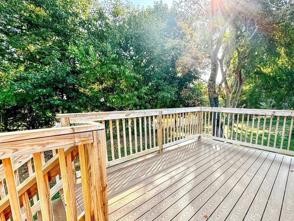 92 Woodcliff Rd, Chestnut Hill