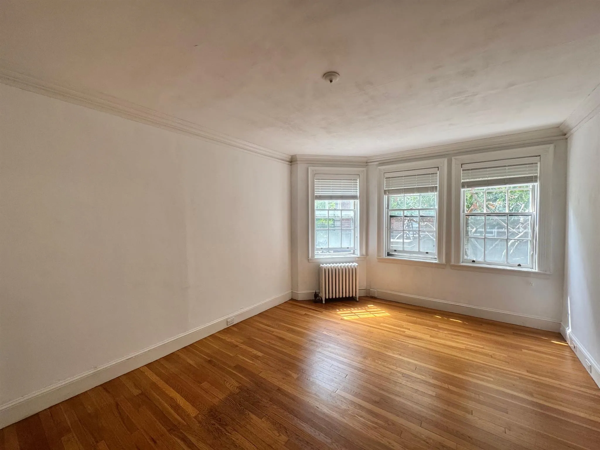 77 Martin St, Neighborhood Nine