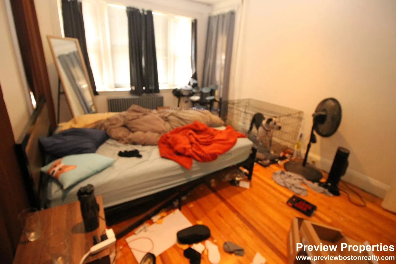 240 Kelton St, Brighton