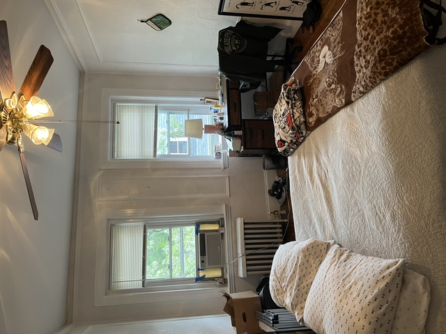 53 Manchester Rd, North Brookline