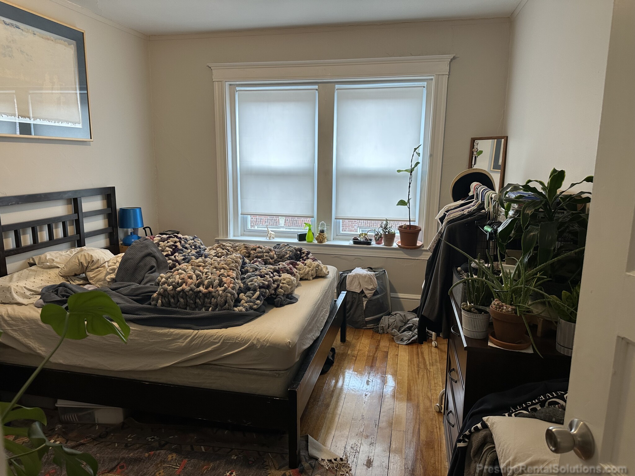 220 South St, Jamaica Plain