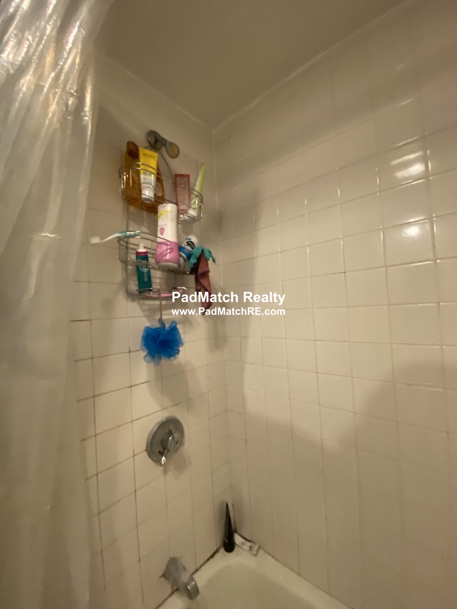 11 Scottfield Rd, Brighton