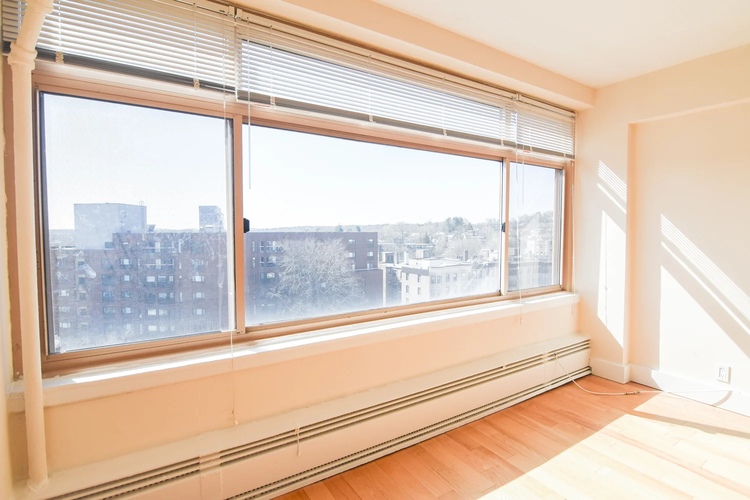 1440 Beacon St, Coolidge Corner