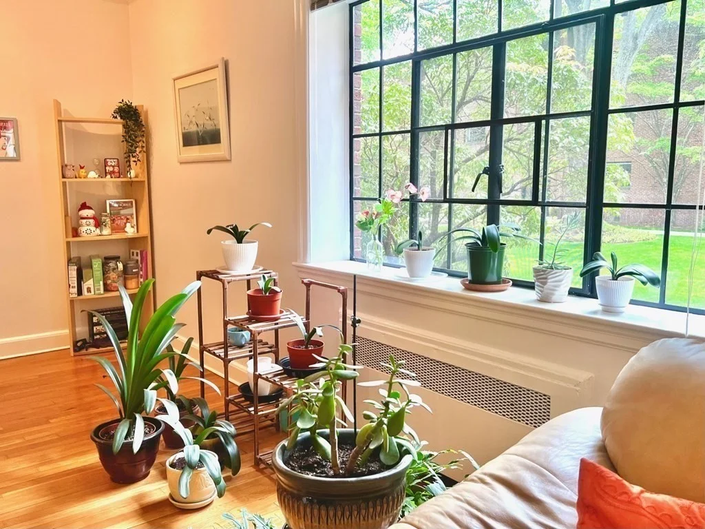 110 Sewall Ave, Coolidge Corner