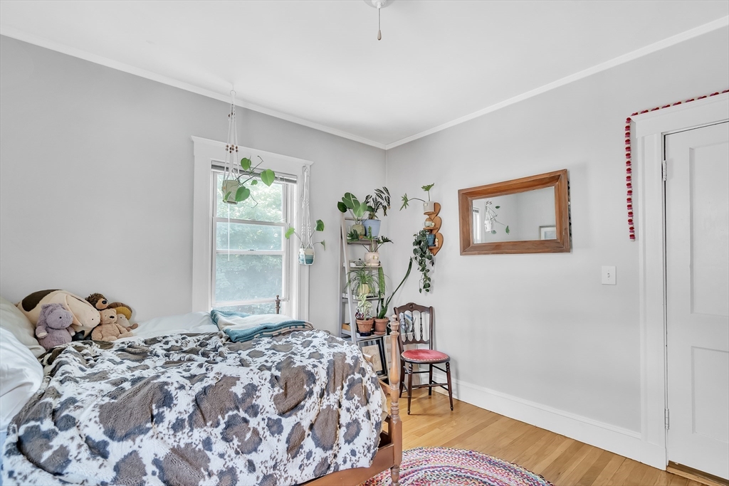 25 Wilson Park, Brighton