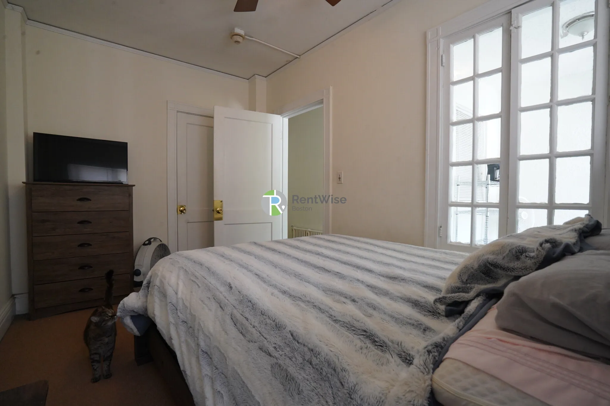 230 Walnut St, Newtonville