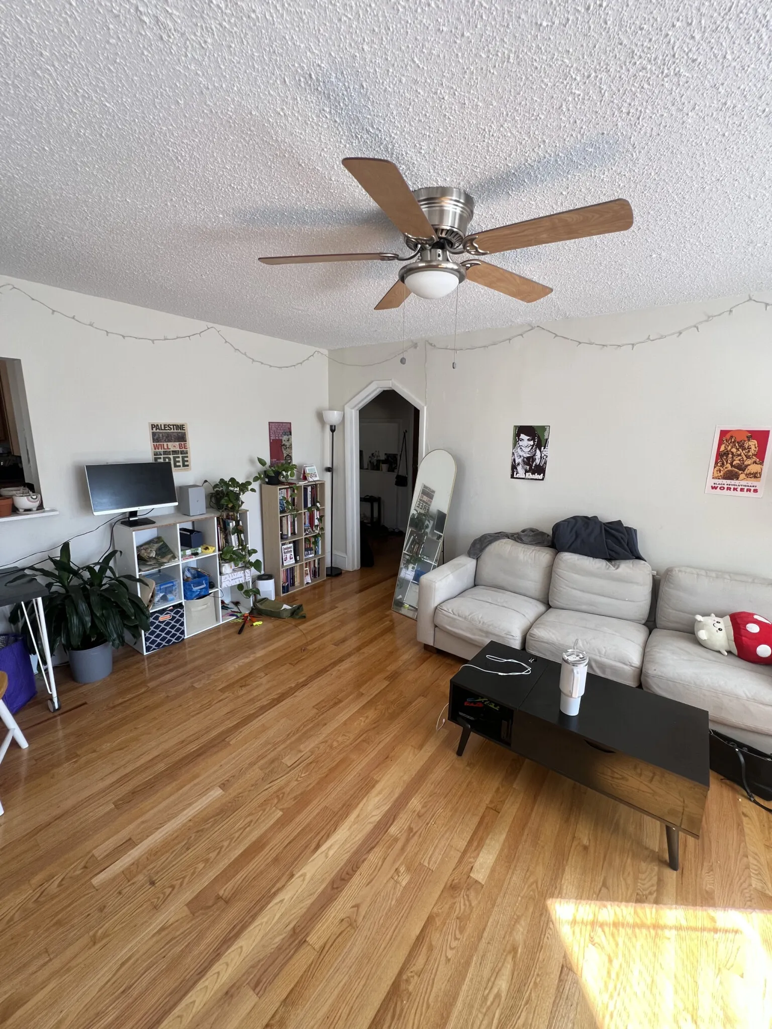 294 Prospect St, Wellington-Harrington