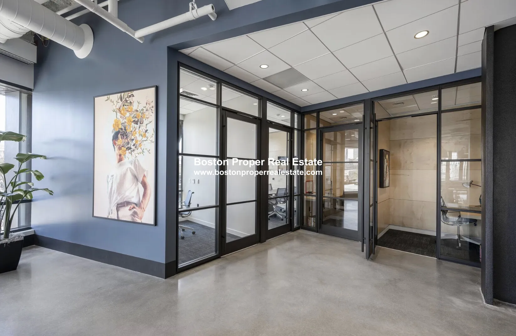 213 Albany St, South End