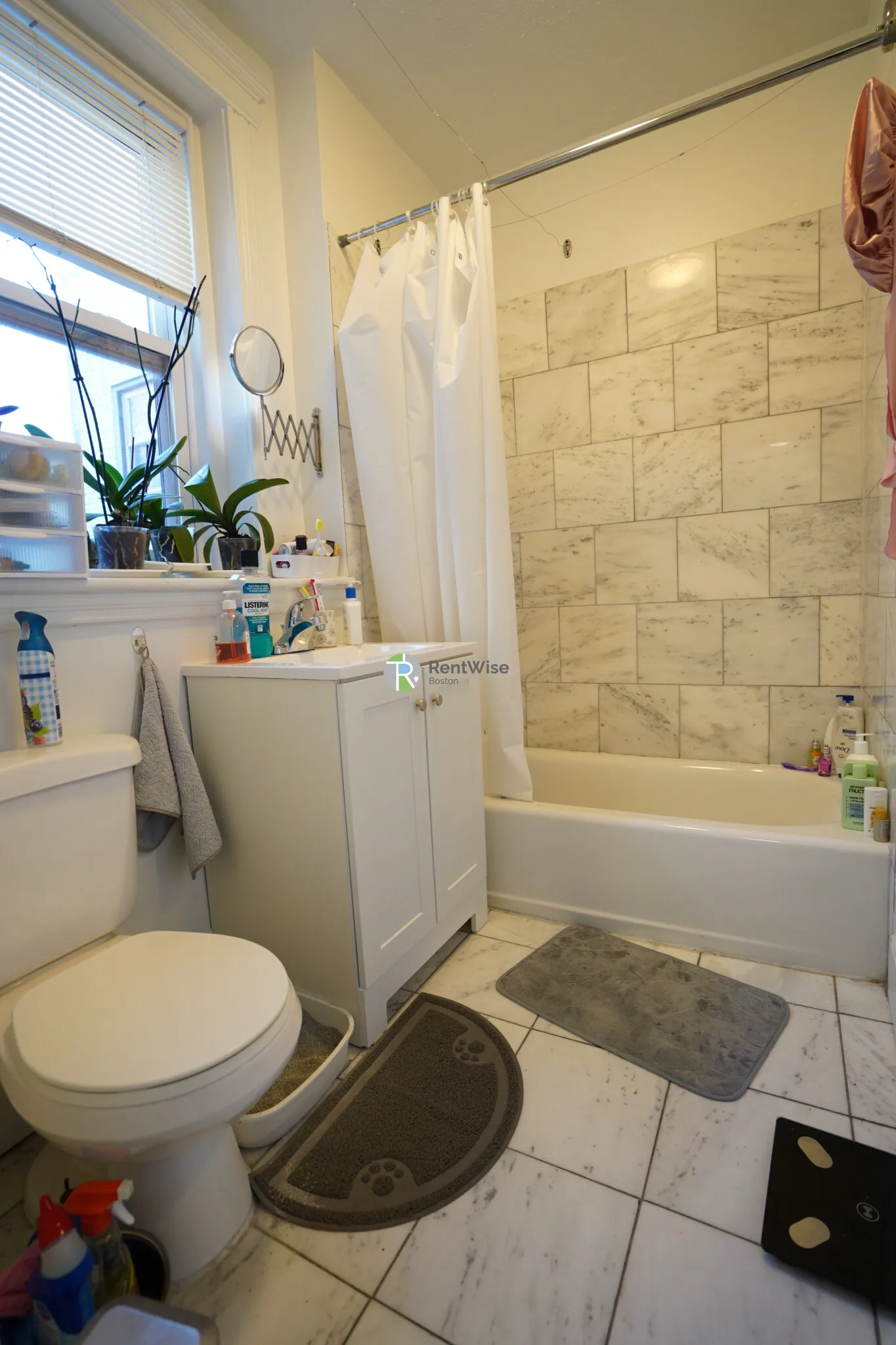 82 Brainerd Rd, Allston