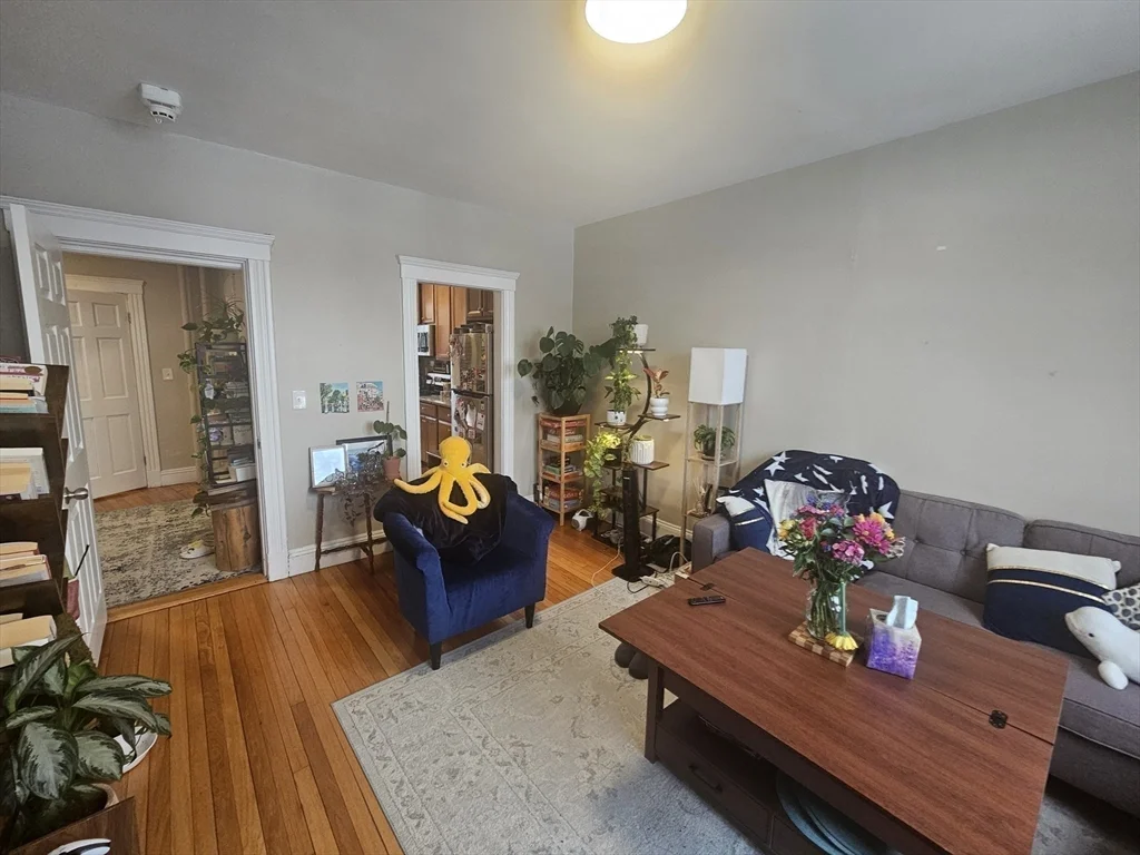 370 Chestnut Hill Ave, Brighton